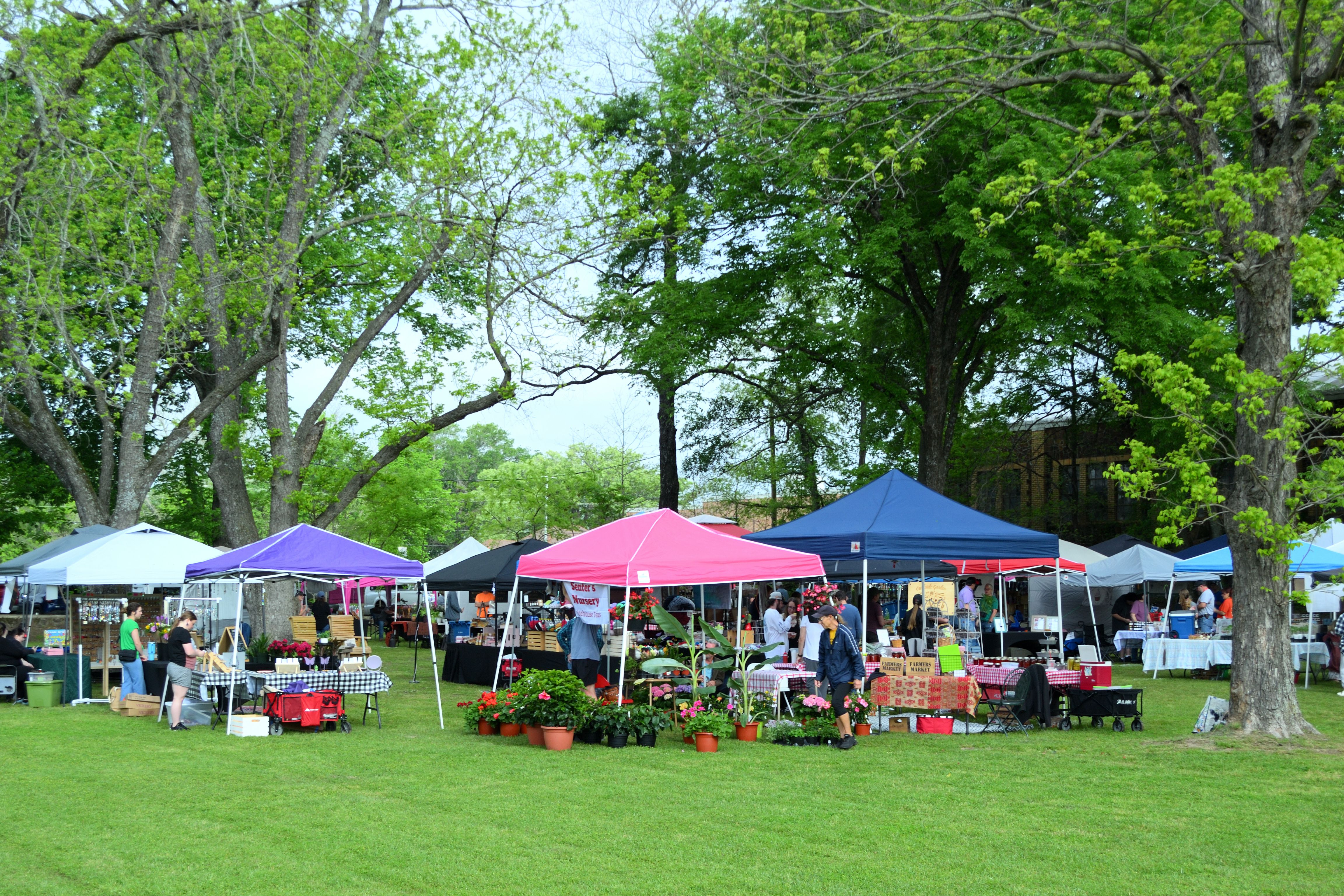 Bustling outdoor market with colorful tents and local visitors